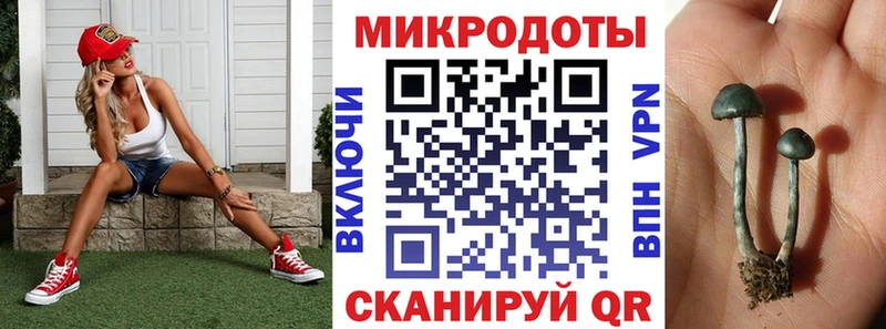 Псилоцибиновые грибы Psilocybe  Беломорск 
